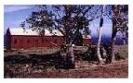 Matakana Farm Buildings