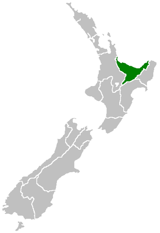 bay of plenty region