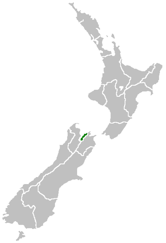 nelson region